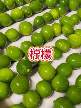 塔西提无籽青柠檬无籽香水柠檬果香新鲜皮薄多汁果园现摘