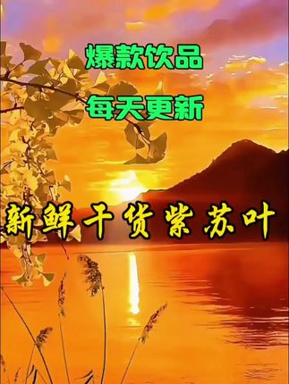 新鲜干货紫苏叶#清香可口 #好物分享