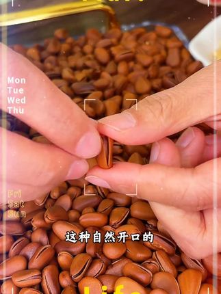 #三只松鼠 真的太卷了,这个价格就能到手1斤长白山红松子,关键品质也是真的没话说!#坚果 #超便宜超划算