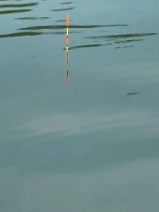 进口东丽原丝钓鱼线组套装 进口东丽原丝主线套装,钓鱼必备,黑坑竞技两用,#钓鱼装备 #钓鱼技巧 #户外运动 #在抖音入手的好东西