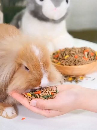 兔粮兔子饲料5斤幼兔荷兰猪饲料垂耳兔宠物食物营养抗球虫批发#兔粮 #宠物食物 #幼兔饲料 #荷兰猪粮 #营养兔粮