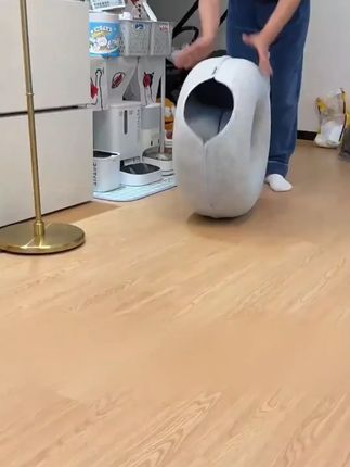 终于买到了一个没有被闲置的猫窝,甜甜圈造型空间很大,几只猫抢着在里面躲猫猫#记录猫咪日常 #猫窝 #萌宠好物 #萌宠vog