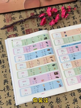 知识点这么全面的拼音拼读书给孩子准备上,就再也不用担心他的拼音学不会了,发音也能越来越标准#拼音 #拼读 #一年级语文 #发音 0924。