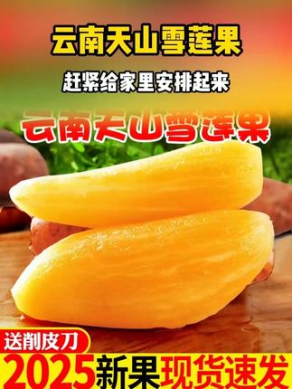 都乐家雪莲果真的太好吃了,又脆又甜,脆爽解腻,谁还没有吃过?选水果还得是都乐啊#雪莲果