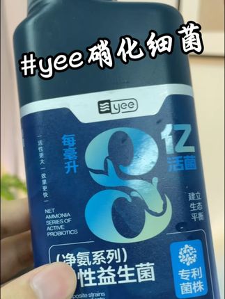 养出空气缸就少不了硝化细菌 #空气缸 #养鱼 #鱼缸 #水族 #鱼缸里的大自然