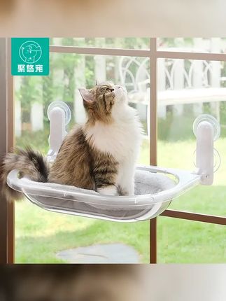 猫窝猫吊床太空舱猫床窗户猫咪晒太阳挂床玻璃吊篮透明宠物床用品 #新手养猫 #吊床 #猫咪吊床 #猫窝 #萌宠好物