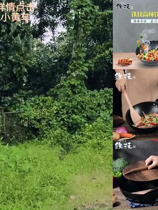 铁技日本铁技高纯铁锅健康无涂层炒菜锅送锅盖无油烟