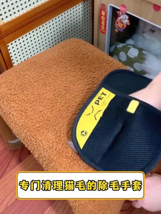静电除毛手套双向刷毛粘毛除毛神器猫毛清理 养宠家庭一定会爱上这个除毛器,养狗人不骗养狗人 #金毛 #萌宠好物 #宠物除毛刷 #宠物除毛神器 #宠物好物推荐