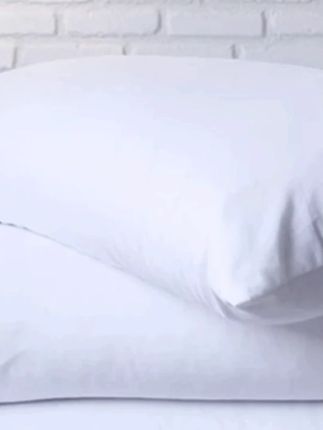 罗永浩推荐荞麦壳枕头颈椎枕宿舍睡眠枕护颈椎枕头荞麦枕头枕芯单人宿舍家用#枕头 #荞麦壳枕头 #颈椎枕 #罗永浩 #罗永浩推荐