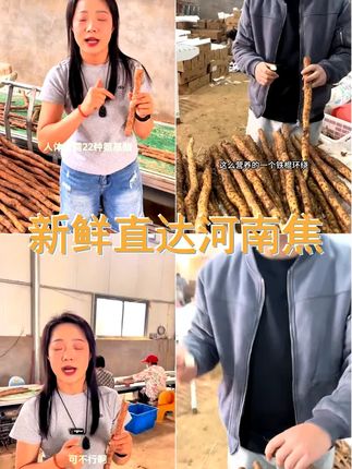 河南焦作温县垆土铁棍山药5斤3斤新鲜原产地发货营养健康品质甄选 #温县铁棍山药