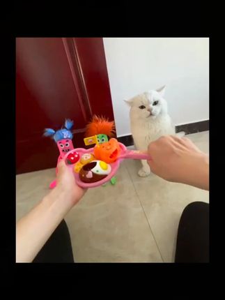 日本咪露喂食玩具小熊便当盒儿童日式过家家玩具配件爆款宝宝礼物#日本咪露 #喂食玩具 #小熊便当盒 #过家家玩具 #宝宝礼物