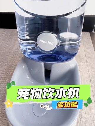 夏天狗狗超爱喝水的#萌宠#狗狗#萌宠出道计划#狗子成精了#超便宜超划算