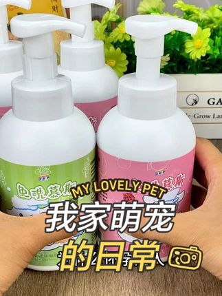 #宠物 #宠物美容 #宠物慕斯 #宠物洗护 #宠物洗澡