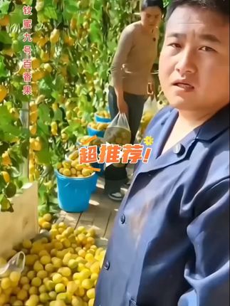 正宗海南钦蜜9号黄金百香果蜜甜多汁味浓好吃新鲜采摘原产地发货