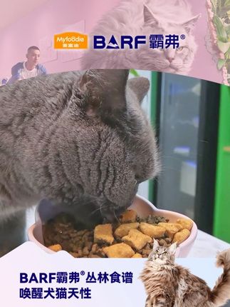 麦富迪霸弗天然猫粮现在活动力度是真的大!!! #猫粮 #萌宠好物 #科学养宠  #麦富迪霸弗猫粮