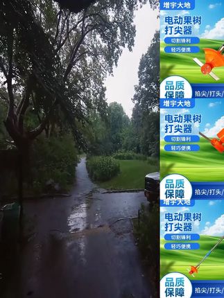 增宇电动葡萄打尖机打尖器荔枝打花器枣树百合金银花打尖机花椒