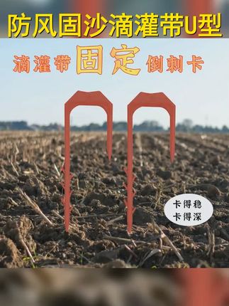防风固沙利器,滴灌带U型叉稳固防脱管飞管园艺卡子!加大号设计,倒刺防脱,轻松插入,高效灌溉,保护作物,美化环境!绿色生活从我做起,一起保护我们美丽的地球家园! #农用工具 #滴灌带卡子 #滴灌带固定器