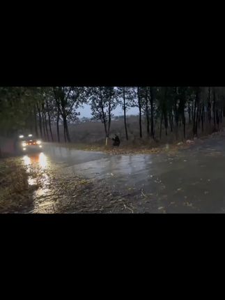 晨亿适用于哈弗全系汽车B柱密封条车门隔音条防尘降噪改装胶条#哈弗配件 #B柱密封条 #汽车隔音 #防尘降噪 #晨亿汽车用品