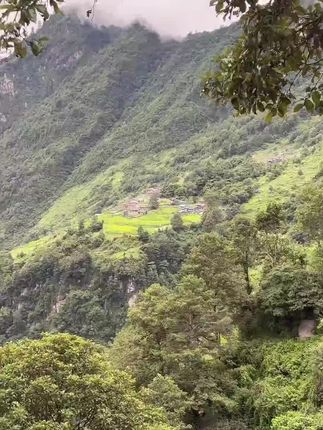【颜格】防虫网养殖场专用防蚊网防蝇网养猪场加厚抗老化蔬菜大棚 #防虫网 #蔬菜防虫网 #种菜防虫网 #三农 #种菜神器