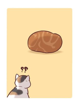 变身~我的虎皮蛋糕卷变! #猫咪#搞笑萌宠#漫画