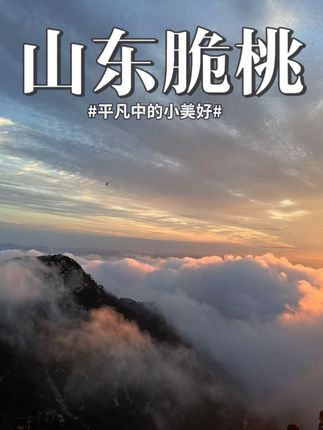 8.25#新鲜应季水果  #脆桃  #优质农产品  #新鲜采摘   #水果 w