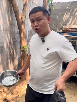 中大型犬的狗粮,有肉又有汤,我看着都香#狗粮推荐
