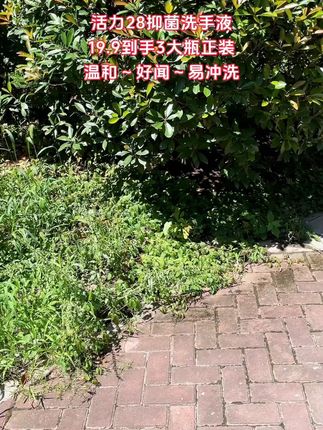 快快快!姐妹们快来抢这个活力28的洗手液,它可不止便宜,你看它每瓶都是这种超大容量的,而且还是四重杀菌,抑菌率达到四个九了!就咱们平时用它洗个手啊、洗个抹布啊都特别合适,洗完还有一股淡淡的香味,一点都不拔干,像洗手液这种消耗品,趁价格合适赶紧多囤点!#好物推荐 #洗护好物 #超便宜超划算 #洗手液 #活力28