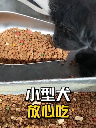 源头直供砍溢价,高冻干鲜肉粮也能成为精算主人的日常选择。 #狗粮#源头工厂#冻干#仓库实拍#性价比