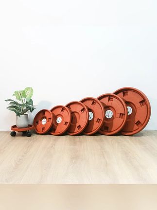 可移动的花盆托盘,底部带万向轮移动特别方便,打扫卫生也方便,浇花还不漏水,大盆小盆都能放#花盆  #托盘  #花盆托盘  #超便宜超划算