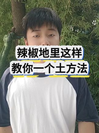 辣椒种植小妙招 #辣椒种植 #种植小技巧 #三农 #农业种植
