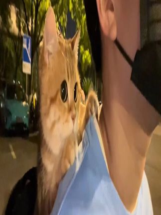 山东”尧妹”勇闯唐艺大舞台,直言要降两个调,网友直呼“砸场子”来了!#🌈唐艺 #人美歌甜 #神级现场 #唐艺大舞台 #户外直播现场