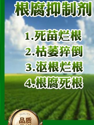 农业种植必备根腐抑制剂,根腐黑根烂根僵苗黄叶长势差都能用,适用于任何农作物,厂家直销正品保证! #农业种植必备根腐抑制剂根