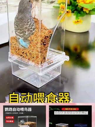 虎皮玄凤牡丹小太阳和尚鹦鹉自动喂食器下料器喂鸟防撒防溅鸟食盒 加一次吃一个月的鹦鹉喂食器,懒人必备#鹦鹉喂食器
