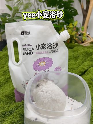 养护级浴沙来啦!#仓鼠 #鼠鼠我呀洗到临头了 #鼠鼠我呀洗到临头了 #养鼠日常分享 #浴沙