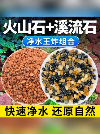 古法养鱼造景鱼缸底砂火山石溪流石套餐材料水草装饰沙子铺底颗粒#古法养鱼 #鱼缸造景 #火山石 #溪流石 #水草装饰