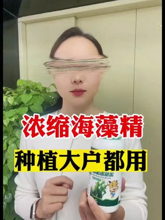 耕芭浓缩海藻精促根壮根绿叶靓果抗旱大田作物通用养叶生根调生长#蓝莓养护  #蓝莓种植  #蓝莓施肥  #盆栽蓝莓  #蓝莓苗