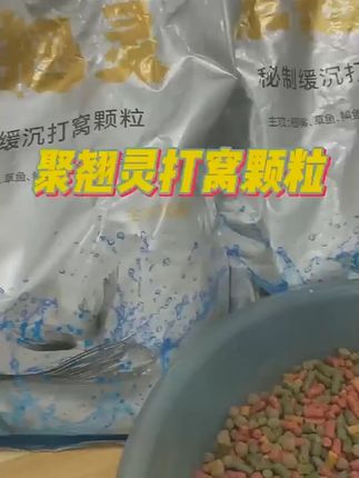 新翘嘴专用打窝颗粒腥味野河湖库黑坑草鱼青鱼鳊鱼鲤鱼通用饵料王#渔具用品 #打窝颗粒 #翘嘴打窝颗粒