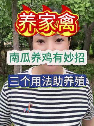 南瓜养鸡有妙招,3个用法助养殖 #养鸡 #养殖 #养鸡鸭鹅猪牛羊 #三农 #分享