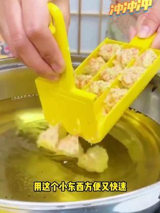 【仅需3.99】肉丸制作器 鱼丸肉丸模具虾滑 -_ 器肉丸肉馅料理器#丸子制作器