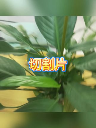瓷砖切割片角磨机超薄锯片 #切割片 #装修工具 #瓷砖加工