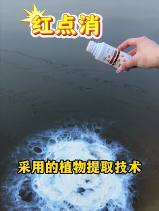 鱼身有红点红斑就用这款红点消#威立妙 #水产养殖 #鱼塘
