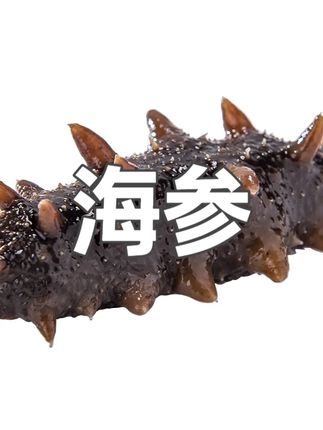 【买20根送10根到手30根】深交情辽刺参(单根5-8cm) #即食海参 #即食海参开袋即食 #即食海参鲜食海参 #即食海参好吗 #海参推荐