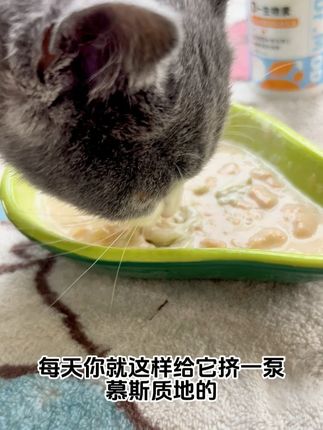4个月之后掉毛的猫咪就需要补充D生物素了,抓紧时间补起来 #D生物素 #掉毛 #掉毛怪 #掉毛季 #猫咪