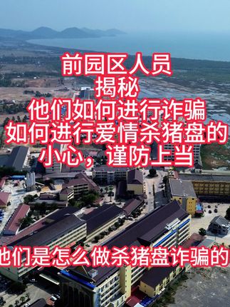 前园区人员揭秘他们如何进行诈骗,如何进行爱情杀猪盘的 知识分享,小心,谨防上当 #柬埔寨 #旅行推荐官 #知识分享