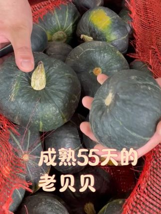 便宜的贝贝南瓜不可能有这个品质,咱们都是成熟55天的老瓜! #南瓜#贝贝南瓜#正宗贝贝南瓜#贝贝南瓜粉糯香甜#正宗贝贝南瓜粉糯香甜