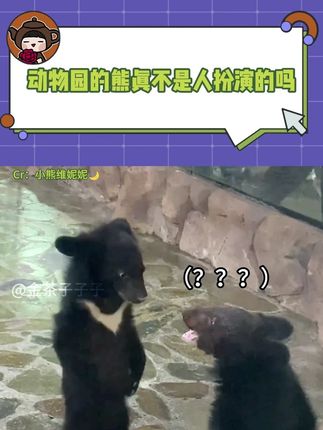 严重怀疑动物园里的熊是人扮演的#熊 #动物园 #搞笑 #万万没想到