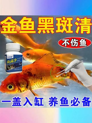 【观赏鱼黑斑】鱼菌净黑斑红斑烂肉掉鳞蒙眼不爱动不伤鱼通用 #观赏鱼鱼菌净 #黑斑红斑治疗剂 #烂肉掉鳞修复剂 #蒙眼专用药剂 #不伤鱼药剂