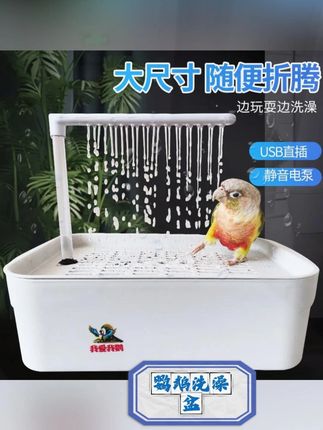 哪有小鸟不爱玩水的,洗澡机一开又是开心的一天#鹦鹉洗澡 #鹦鹉玩水 #鹦鹉洗澡盆