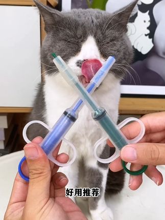 猫咪吃药也能这么乖?看看这只蓝白猫的温馨吃药过程! #猫咪护理 #宠物知识
