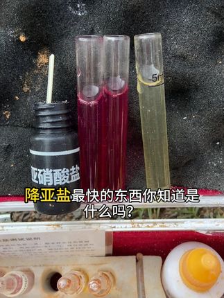 #水产养殖 #高密度养殖 #四大家鱼养殖